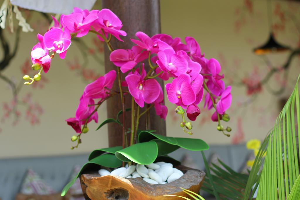 Villa D'Uma Ubud Zewnętrze zdjęcie