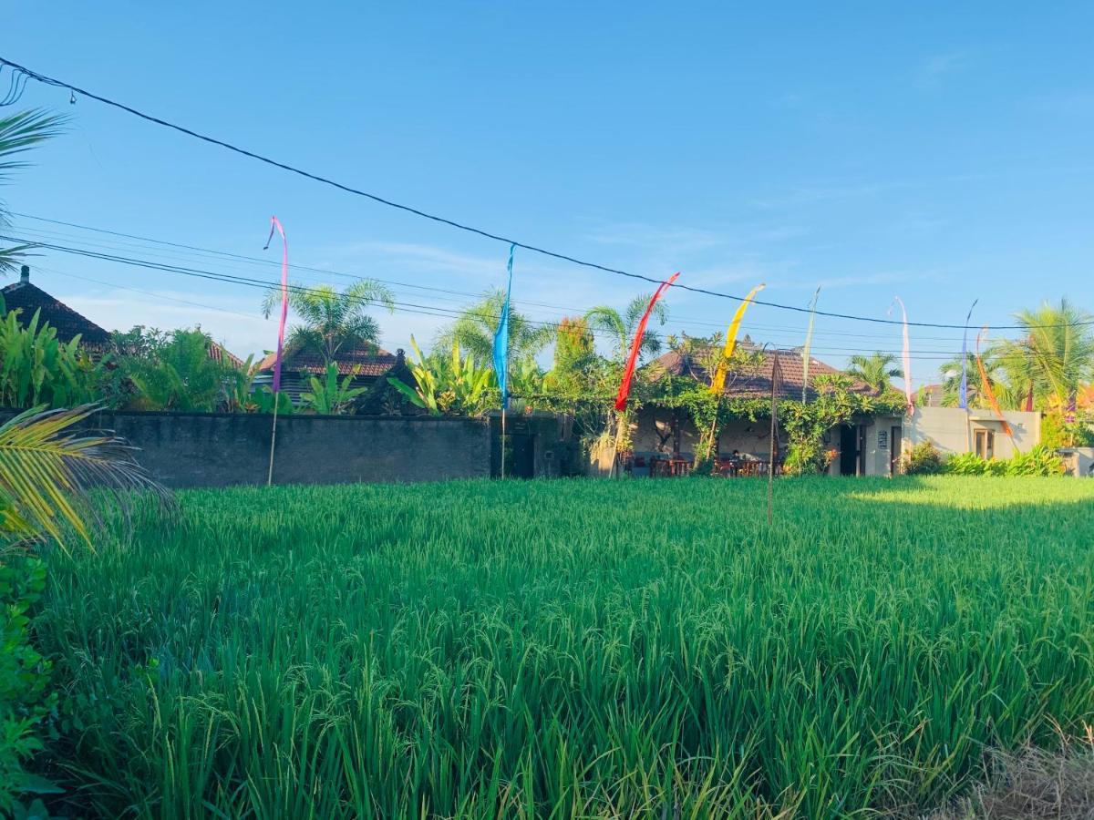 Villa D'Uma Ubud Zewnętrze zdjęcie